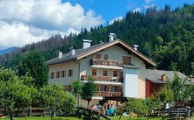 Ai Grisi